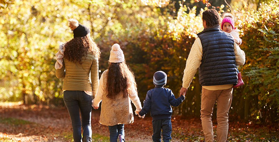 Best Estate Planning Lawyers Near Me